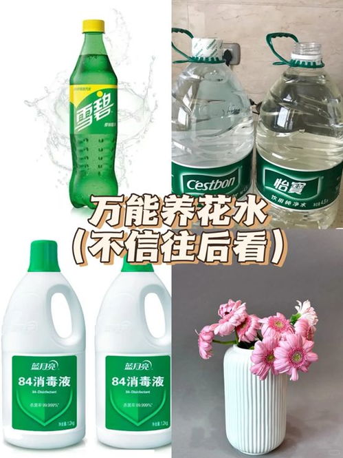 终于有人发掘出 84 的隐藏用法了 除了消毒,还有这么多妙用